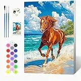 Auremi Pferd Malen nach Zahlen Set für Erwachsene Kinder mit Holzrahmen,Tiere Paint by Numbers Set Mit Ölgemälde für Anfänger, Leinwand, Pinsel und Farben Wanddekoration 20x30cm