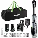 WORKPRO Akku Ratschenschlüssel 55 Nm Elektrische Ratschenschlüssel Set 12V Akku Ratsche 3/8' Kabellose Ratsche mit 2 x 2,0 Ah Akku, LED-Licht, inkl. 10 Stecknüsse, Aufbewahrungstasche, Ladegerät