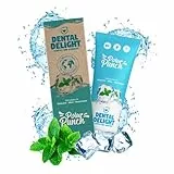 DENTAL DELIGHT Polar Punch Zahnpasta (TESTSIEGER), Vegane Zahnpasta mit Geschmack, Zahncreme (Minze, 1er Pack)