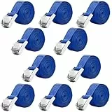 LUZOON Spanngurte 10 Stück-2.5M Spanngurt Zurrgurte mit Ratsche Belastbar bis 250 kg (10 Stück Blau–2.5 m x 25 mm)