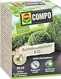 COMPO Buchsbaumzünsler K.O. - Spritzmittel - schnelle Hilfe bei Schädlingen an Buchsbäumen - Konzentrat mit Dosierbecher - für gesunde Pflanzen - 50 ml