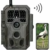 GardePro E8 Wildkamera WLAN, 64MP 1296P H.264 Video, Wildtierkamera mit Handyübertragung App, WiFi Wildtierkamera mit Nachtsicht Bewegungsmelder, 0,1s Schnelle Trigger, IP66