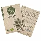 Little Plants BIO Mangold Samen, 60 Mangoldsamen, hohe Keimrate, 100% Natürlich, BIO Samen Mangold Rhubarb Chard für Gemüsegarten, Gemüsebeet, Hochbeet – BIO Gemüsesamen Saatgut Nachhaltig