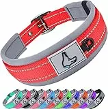 Joytale Halsband Hund, Weich Hundehalsband Gepolstert Neopren Hunde Halsband für Kleine Hunde, Nylon Reflektierend Breit Halsbänder, Rot