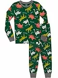 Harry Bear Jungen Dinosaurier Schlafanzug Slim Fit Mehrfarbig 134