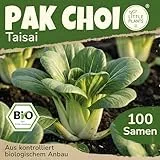 Little Plants BIO Pak Choi Samen 100 Pak Choi Saatgut Taisai Gemüsesamen für Gemüsegarten Samenfest Gemüse Samen Salatsamen für Küche, Balkon und Garten
