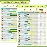 Garten- & Schrebergarten Pflanzkalender - Wiederverwendbarer Ganzjahresführer für Saatgut Aussaat & Ernte - Wasserdichtes Poster für Gewächshaus oder Schuppen - Perfekt für Gärtner (Mehrfarbig, A4)