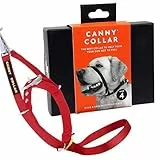 Canny Halsband - Rot, Size 4