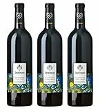 3x 0,75l - 2022er - Weingut Gesellmann - Creitzer Reserve - Blaufränkisch - Qualitätswein Burgenland - Österreich - Rotwein trocken
