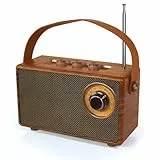 FUNFOR Retro-Radio, Vintage-Bluetooth-Lautsprecher mit FM-Radios, kleinem tragbaren Radios und 1500-mAh-Akku, unterstützt TF-Karte/AUX/USB, MP3-Player, 5-W-Lautsprecher, Bluetooth 5.0