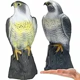Retoo Vogelabwehrmittel, Vogelabwehr, Falken, Falkengarten, Gefälschte Vogel, Gartenschutz, Schädlingsabwehr, Greifvogel, Raubvogel Attrappe, Natürliche Schädlingsbekämpfung, Kunststoff, 40 x 17,5 cm
