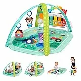 Baby Einstein Farm Explorers 4-in-1 Kickin' Tunes Musical Meadow Musik- & Sprachentdeckungs-Spielbogen, Spielmatte mit Kick-Piano, ab 0 Monaten