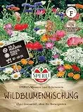 Sperli Wildblumensamen-Mischung SPERLI's Blumen- und Kräutermix 88019- Eine perfekte Wildblumenmischung ohne Grasanteil, die sich zudem ideal für Naturgärten eignet.
