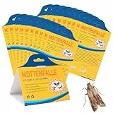 HONMOK 20 Stück Mottenfalle gegen Lebensmittelmotten & Kleidermotten Lebensmittelmotten Falle Kleider Mottenfalle Klebe Pheromonfalle Mottenschutzpapier Klebefallen für Kleiderschrank Küche