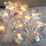 KOBOKO Lichterkette Blumen, 1,5M 10 LED Glasfaser Blumen-Lichterkette, Warmweiß Lichterketten Batterie, Lichterketten Innen Außen, Dekorative Lichter für Garten, Geburtstag, Hochzeit, Weihnachten Deko
