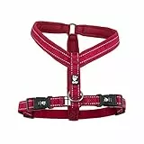 Hurtta Gepolstertes Hund-Geschirr, Y-Form