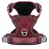 Demigreat Mittleres Hundegeschirr, Anti-Zug-Hundegeschirr mit Weich Gepolstertem Griff für das Training Beim Spazierengehen, Verstellbar, Reflektierend, für Kleine, Mittlere und große Hunde