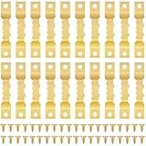 Caianwin 20 Stück Sägezahn Bildaufhänger Metall Bilderaufhänger Zackenmit mit Schrauben Bilderrahmen Aufhänger für Schwere Bilder LeinwäNde Uhren und Handwerksartikel (Gold)