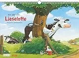DUMONT - Ein Jahr mit Lieselotte - Der Jubiläumskalender 2026 – Wandkalender 30x42 cm – Kinderkalender zum Jubiläum mit 13 Kalenderblättern, illustriert von Alexander Steffensmeier