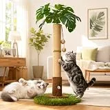 WOOCHPET Kratzbaum für Wohnungskatzen und Kätzchen, 90 cm hoher Kratzbaum mit Sisalseil, Palme mit hängendem Ball