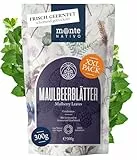 Maulbeerblätter Tee Monte Nativo (300g) - Mulberry Leaf Tea schonend getrocknet - 100% natürlich und ohne Zusatzstoffe - Aromatischer Kräutertee für einen köstlichen Aufguss