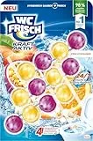 WC Frisch Kraft Aktiv Duftspüler Früchtezauber (150 g), WC Reiniger mit fruchtigem Duft und 4-facher Aktivstoff-Kombination, Duftsteine für 24/7 Frische und sichtbare Reinigung