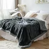 Bedding Aid wasserdichte Sherpa-Decke – doppelseitiges, gemütliches Fleece, auslaufsicher und schmutzabweisend, perfekt für Intimität und nasse Situationen (Anthrazitgrau/Silbergrau, Doppelbett, 65 x