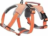 BELPRO Mehrzweck-Hundegeschirr, ausbruchsicher, kein Ziehen, reflektierend, verstellbare Weste mit strapazierfähigem Griff, Hundegeschirr für große/aktive Hunde(Orange, S)