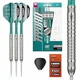 Target Darts Hydro Steel Tip Dart Set, 24G (Barrel 03) | 90% Wolfram-Darts, Silberne Swiss Point-Spitzen, Pro Grip Tag-Schäfte, Pro Ultra No.6-Flügel, SP-Werkzeug inkl