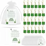Scinzene 24 Sets Glücksbringer Schlüsselanhänger Set, mit Mini Grußkarten und Organzabeutel, Glücksbringer Set für Neujahr, Prüfungen, Neujahr Glücksbringer, Freunde und Kollegen