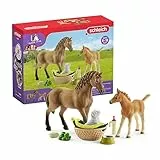 Schleich Horse Club – 9-teiliges Tierpflege-Spielset mit Pferdefigur, Fohlen und Hund mit Zubehör – fantasievolles Spielspielzeug für Mädchen und Jungen – Bauernhoftier-Spielzeug-Set für Kinder ab 5