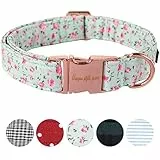 Unique Style Paws Hundehalsband Halsband Verstellbare Halsbänder oder Hundeleinen für Hunde und Katzen Klein Mittelgroß Groß