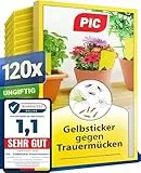 PIC Trauermücken bekämpfen – 120x Gelbtafeln gegen Trauermücken, Gelbsticker für Zimmerpflanzen, Gelbfalle gegen kleine Fliegen in der Blumenerde – Alternative zu Nematoden