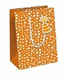 Clairefontaine 32505-3C - Geschenktasche M 21,5x10,2x25,3cm, ideal für Bücher und Spiele, Safari, 1 Stück
