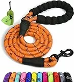 Taglory Hundeleine mit bequemen gepolsterten Griff, robuste Hundeleine zum Trainieren und Gassi gehen, 120×1.0cm Reflektierend Führleine aus weichem Nylon für mittelgroße Hunde, orange