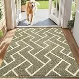 Biscpro Schmutzfangmatte 80 x 100, Rutschfestigkeit Fußmatte,Maschine gewaschen Türmatte für Hund, Außen Innen Garten,Teppich,küchenteppich,Haustür