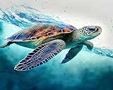 Malen nach Zahlen Erwachsene Kinder Mädchen, Malen nach Zahlen Bilder Paint by Numbers Adult Kreativ Set DIY Set Bastelset Erwachsene Jugendliche Malen nach Zahlen Schildkröte für Haus Dekoration