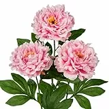 77cm künstliche Pfingstrose Blumen, 3 Stück Fake Pfingstrose Blumen Rosa, Faux Pfingstrose Dekoration für Haus, Büro, Hochzeit, Party Dekoration, Blumenarrangement, Tischaufsteller