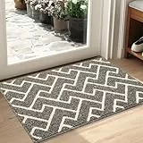 Biscpro Fußmatte Innen 50 x 80 cm, Wasserdicht Türmatte Schmutzfangmatte rutschfest Fussmatte Innen für Eingang, Flur, Garten, Innen, Haustier