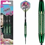 Bull's Ricky Evans Grün Steel Darts | Shell Coated Brass 21g Steeltip Darts | Professionelle Dartpfeile für jeden Spieler