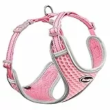ThinkPet No-Pull Hundegeschirr Leine Set, Atmungsaktiv Brustgeschirr für Kleine Mittlere Große Hunde, Einstellbar Weich Laufgeschirre Sicher Kontrolle Gepolstert Reflektierendes Sicherheitsgeschirr