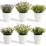 YVONNEYI 6 Stück Kunstpflanze Klein 16cm, Mini Kunstblumen im Topf, Künstliche Pflanzen für Office Wohnzimmer Schlafzimmer Badezimmer Küchen Zuhause Innen Deko
