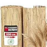 NOOR Schilfrohrmatte ST. Tropez - Natürlicher Sichtschutz aus Schilf für Balkon, Terrasse und Garten - Wetterfeste Sichtschutzmatte zum Anbringen am Zaun - 100 cm x 6 m Schilfrohr Balkonsichtschutz