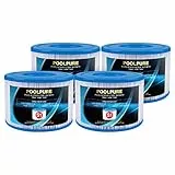 POOLPURE 4er Pack Filter Typ S1 für Easy Set Pool filterkartuschen, Intex PureSpa, Whirlpool Filter für 11692/29001E Spa Filter