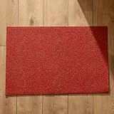 EHOMERY Schmutzfangmatte Gentle North Türmatte Retro-Muster Schmutzfangmatte Gentle North Fussmatte Aussen Groß 40x60cm, rutschfeste Dekorative Fußmatte Aus Plüschbaumwolle