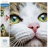 DIAMOND DOTZ DD6.029 - Original 5D Diamond Painting Set Katze mit grünen Augen, Kreativset mit 11.904 Diamant Mosaiksteinen, Malset 35 x 27 cm, DIY Komplettset für Erwachsene und Kinder, Mittel