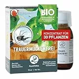Plantura Bio-Trauermückenfrei Neem, hochwirksames Gießmittel gegen Trauermücken aus Neem, 75 ml für ca. 30 Pflanzen