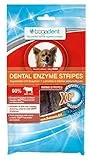 bogar, Bogadent Dental Enzyme Stripes Mini Hund, Zahnpflege für Hunde, Hundezubehör für kleine Hunde, Prävention von Zahnstein, Dental Sticks Hund, Mit Fleisch, Früchten und Mineralien, 100 g