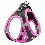 Ferplast Hundegeschirr Mittelgroße Hunde Kaori M, atmungsaktives Hundegeschirr, gepolstert und verstellbar, leicht zu tragen, reflektierende Kanten, Brustumfang 44–48 cm. Rose