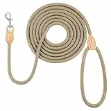 OSDUE Hundeleine, 3 m x 0.8 cm robuste Hundeleine zum Trainieren und Gassi gehen, Führleine aus weichem Nylon mit 1 Karabiner, für Kleine und mittelgroße Hunde, Khaki